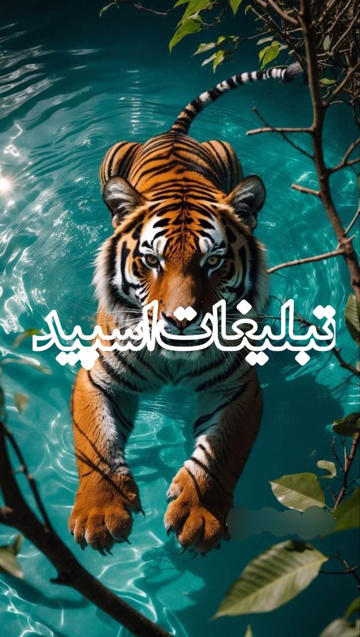 تبلیغات
