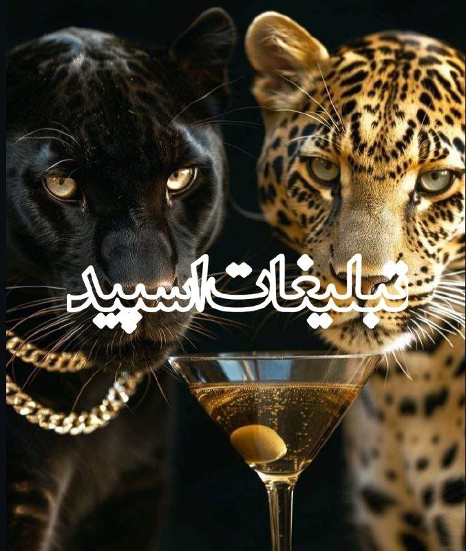 ♠️♥️♣️♦️ شبهای ایران ♦️♣️♥️♠️