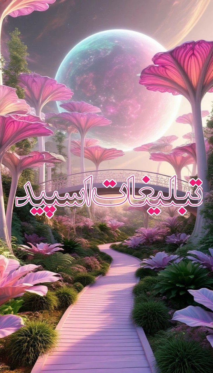 𝑪𝒉𝒖𝒓𝒄𝒉𝒊𝒍𝒍 (1)