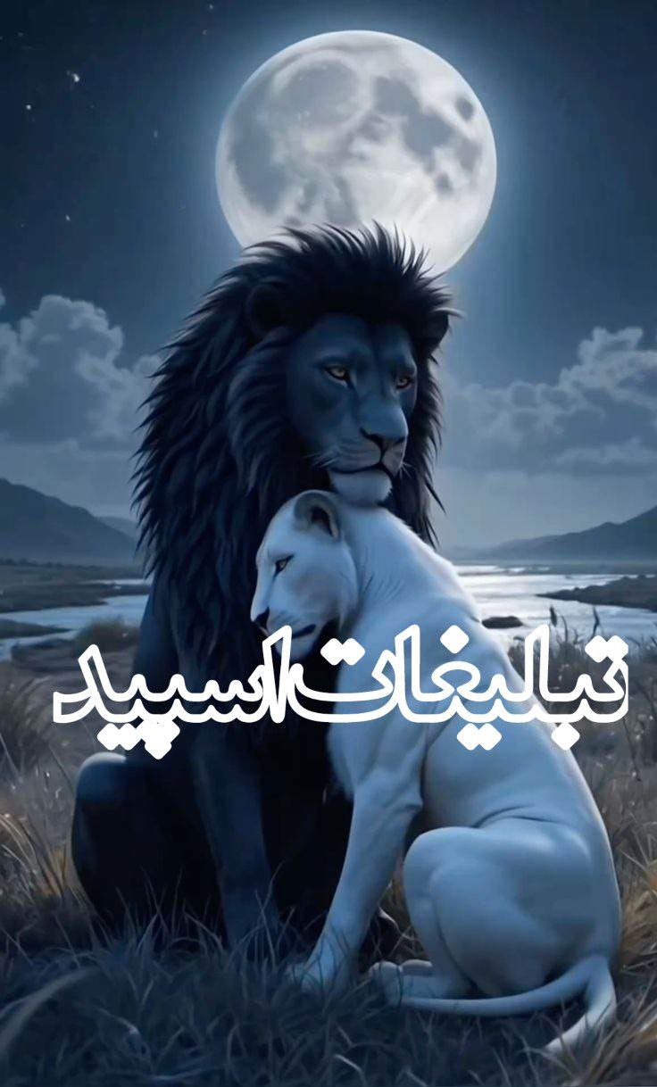 ❤️👑کا؋ــہ شبهاےعاشقے👑❤️ (9)