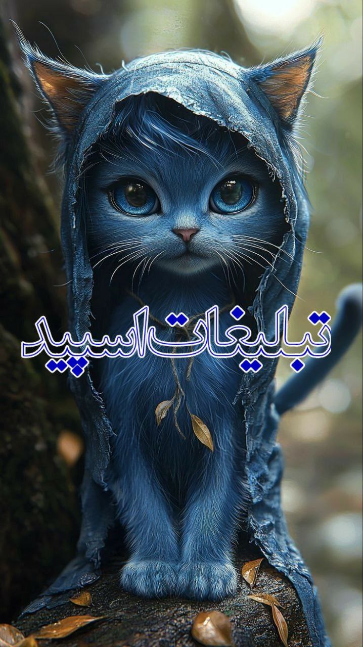 تبلیغات