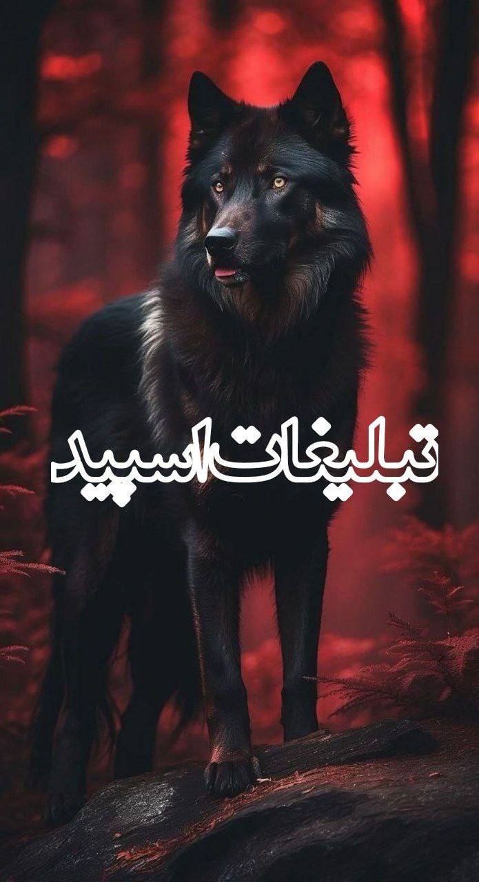 تبلیغات