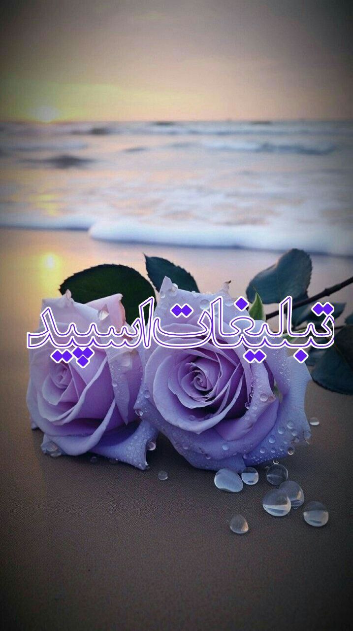 𝑬𝒄𝒍𝒊𝒑𝒔𝒆 (2)