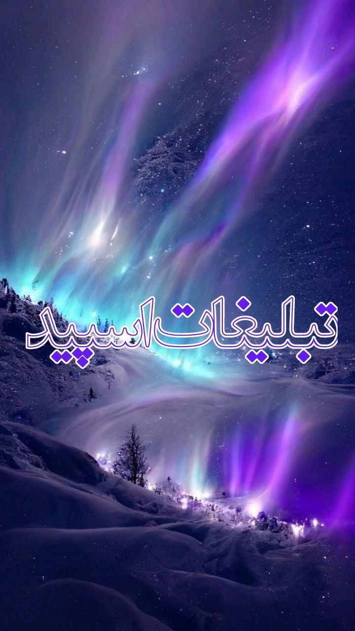 وایلد ولف (294)