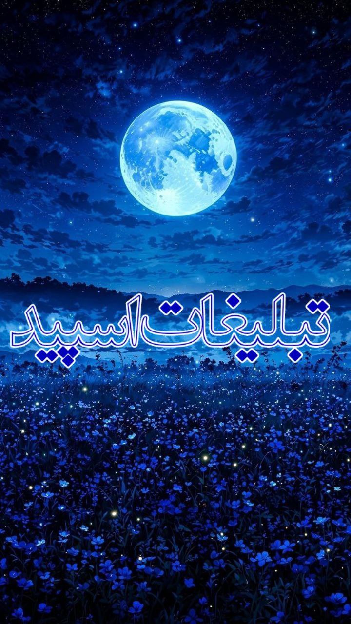 وایلد ولف (329)