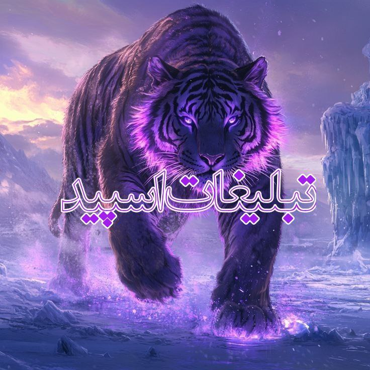 وایلد ولف|WILD WOLF