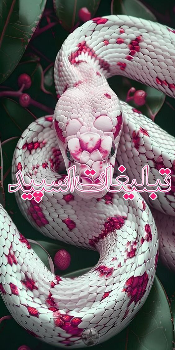 ››▽͟͞𖠇▴⸼DOSTAN MANDEGAR ▹🔥⸼₍𝐽𝑎𝑁₎ ͛▴⸼