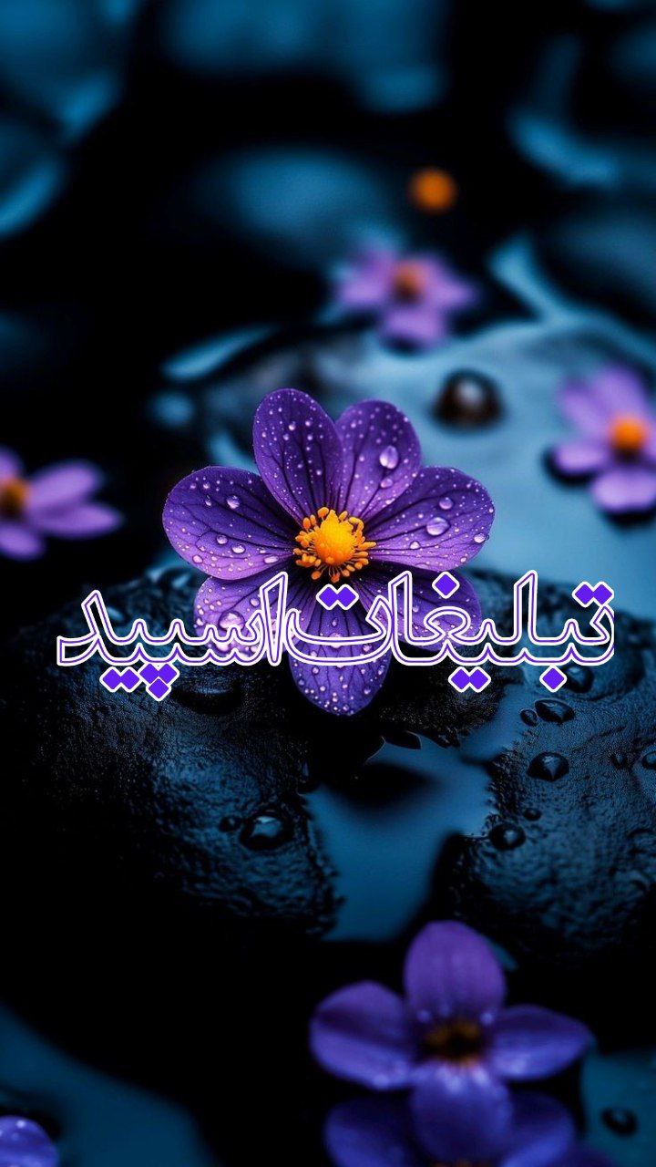 ♡ٖٜٖ✨ܟ۬ߺ❟ܥ‌ܩ❟‌‌ࡅ۬ߺܨ ࡅߺ߳❟ܝ‌ܟٜߺܢ ❟ܝ‌ܦ߭ܦ߳ߊ‌‌✨♡0 ‌‌‌‌‌‌‌‌‎‌‌‌‌‎‌‌‌‌‌‌