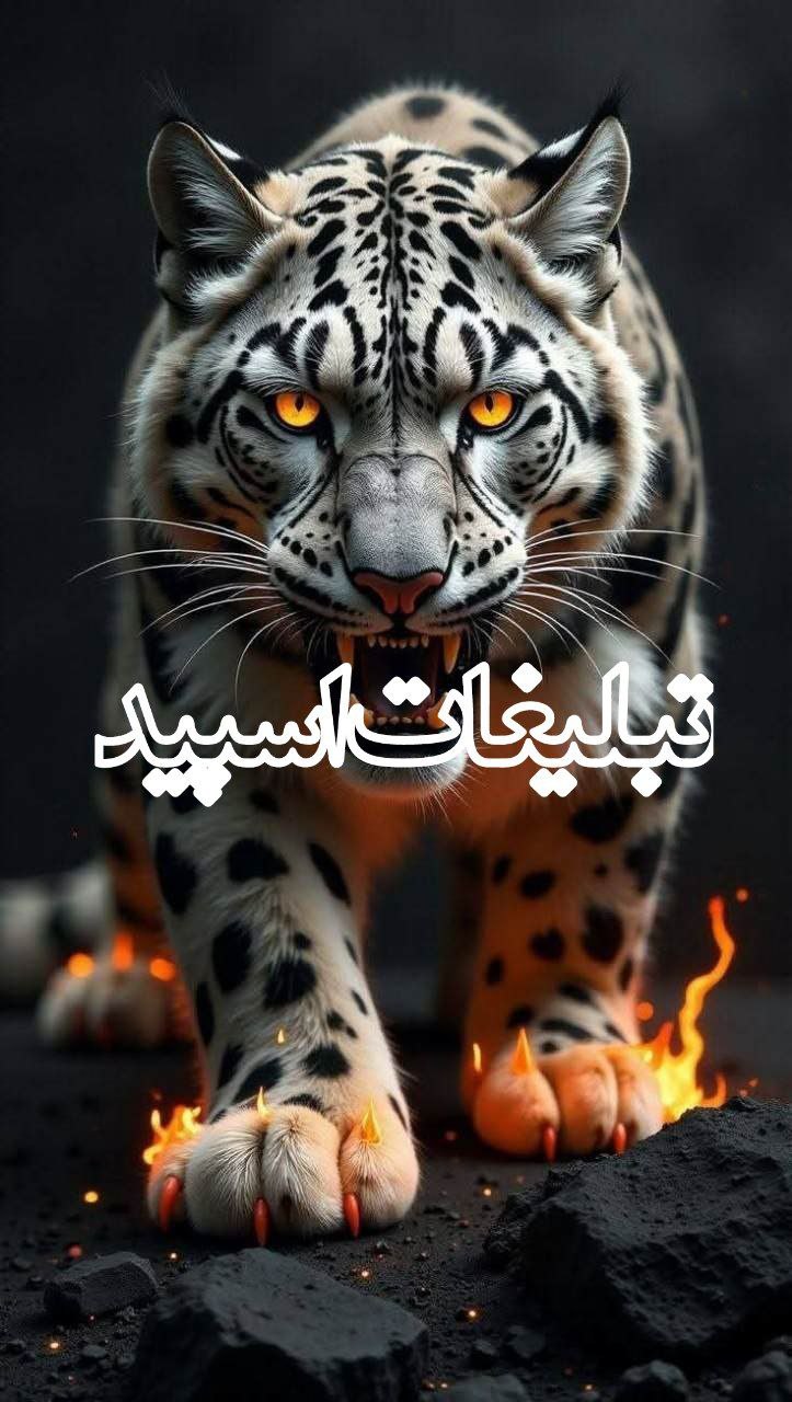 پاتوق رفقای بامرام
