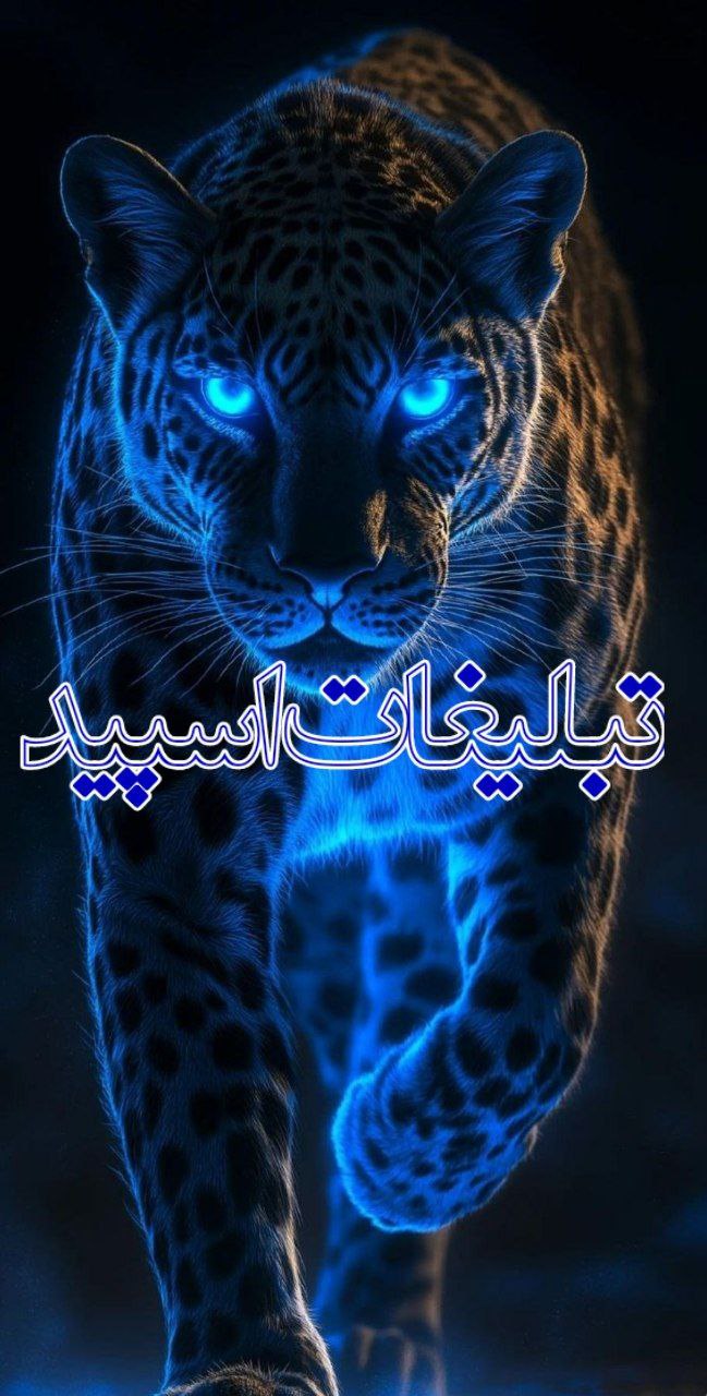 🐬✨ کافه باران🐬🐬✨