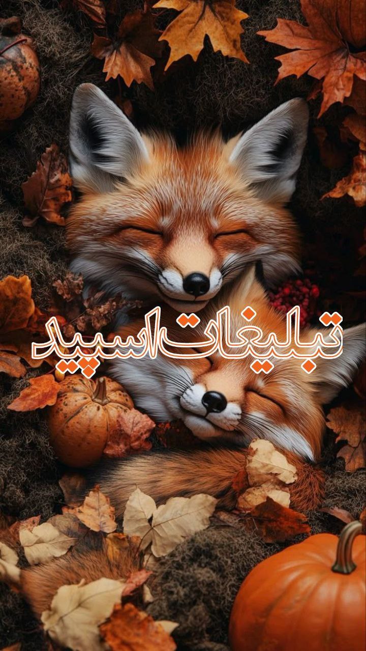 𝙻𝙸𝚅𝙴 𝙽𝙰𝙱 (26)