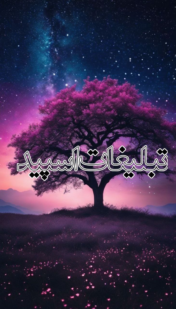 وایلدولف (3)