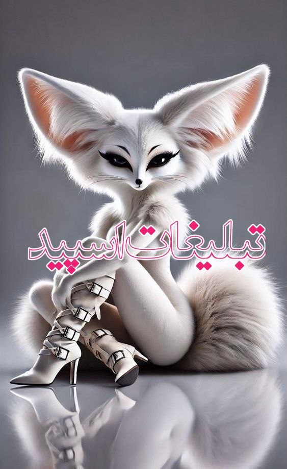 ♥️⃤𓆩  گپ ایران تورک🌹⃤