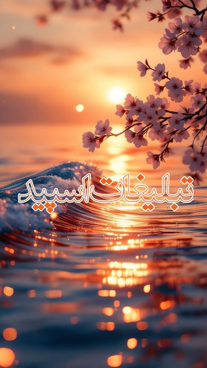 ⎯꯭᪵̽𝆺꯭𝅥𝐖𝐈𝐋𝐃𓆩᪵🜲꯭𓆪̥𝐖𝐎𝐋𝐅⎯꯭꥓᪵ͯ⟶ (127)