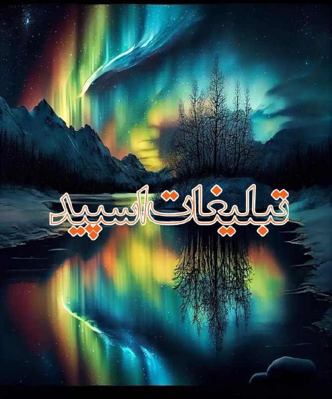 وایلد ولف (213)
