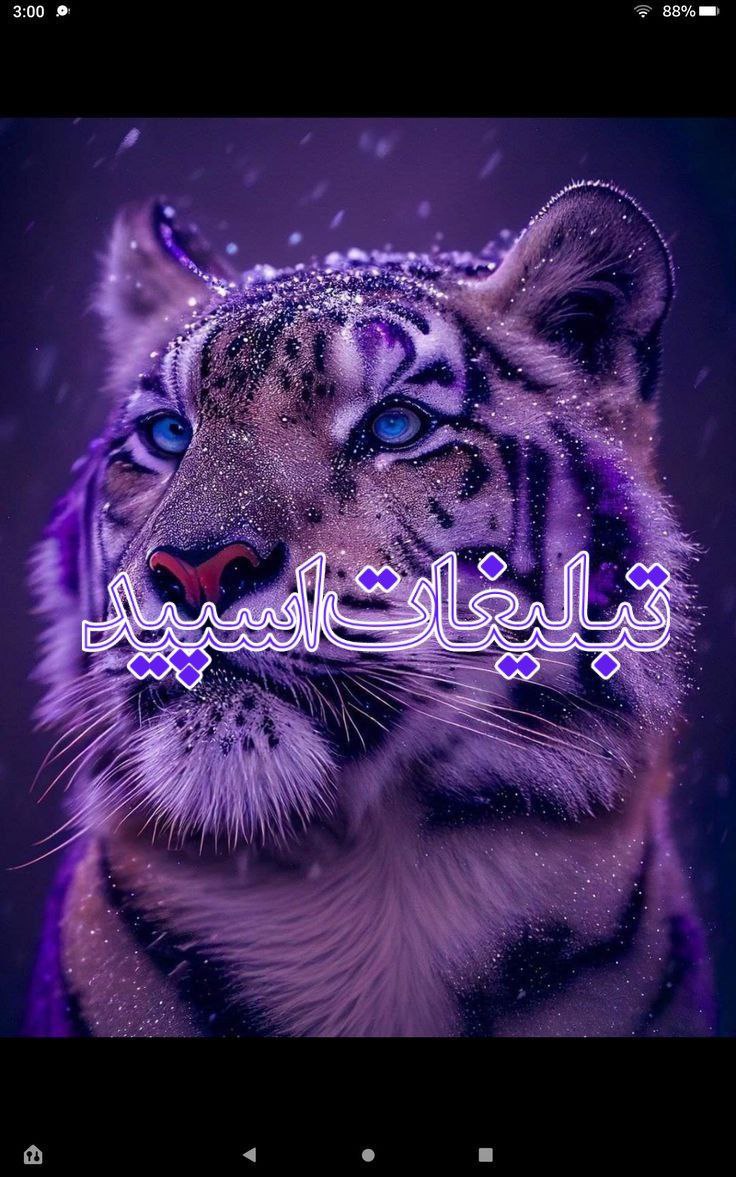 ❤️دوستان بامرام❤️