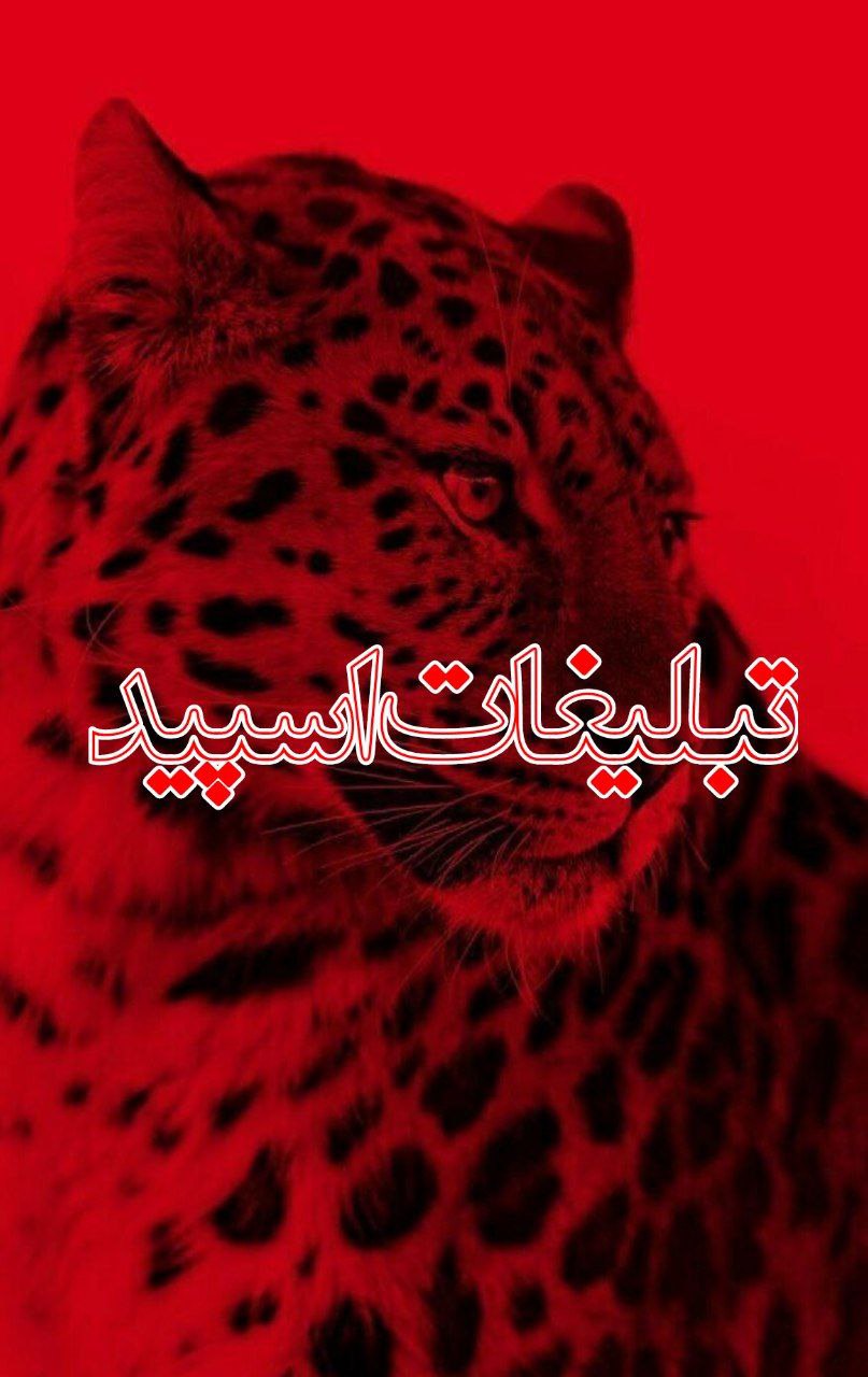 ❤️کلبه آرامش ❤️ (2)