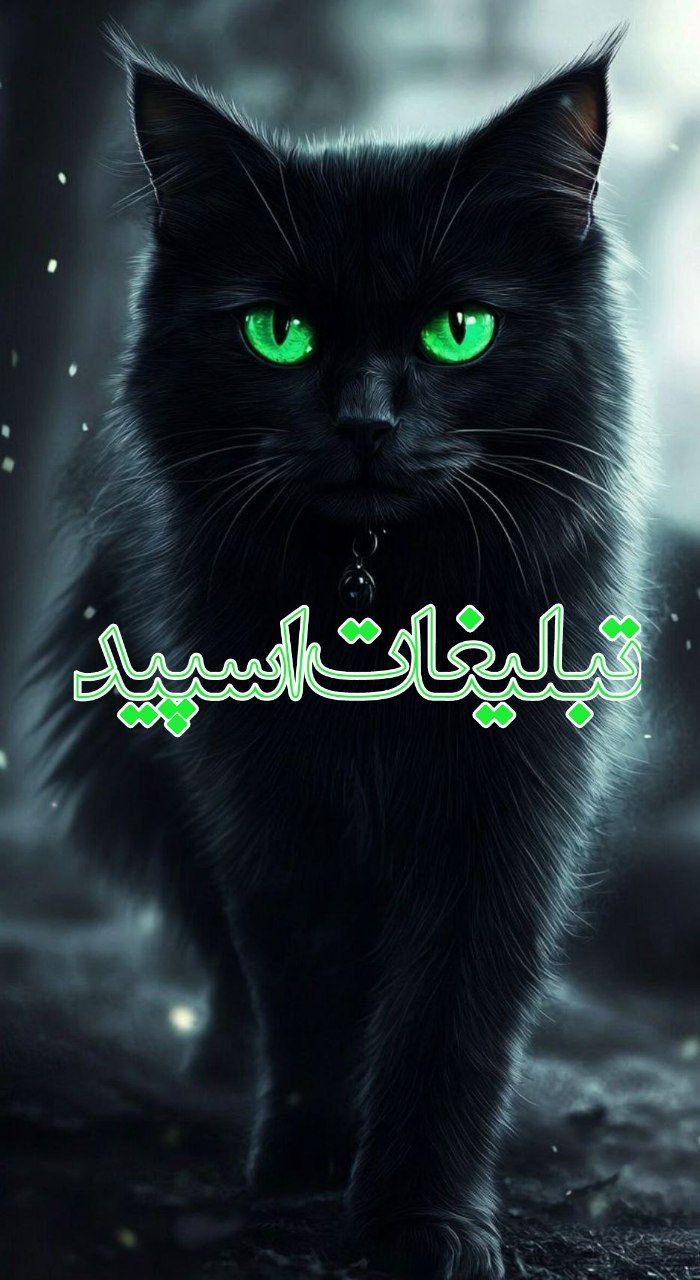 عـشـق هـای مـجـازی