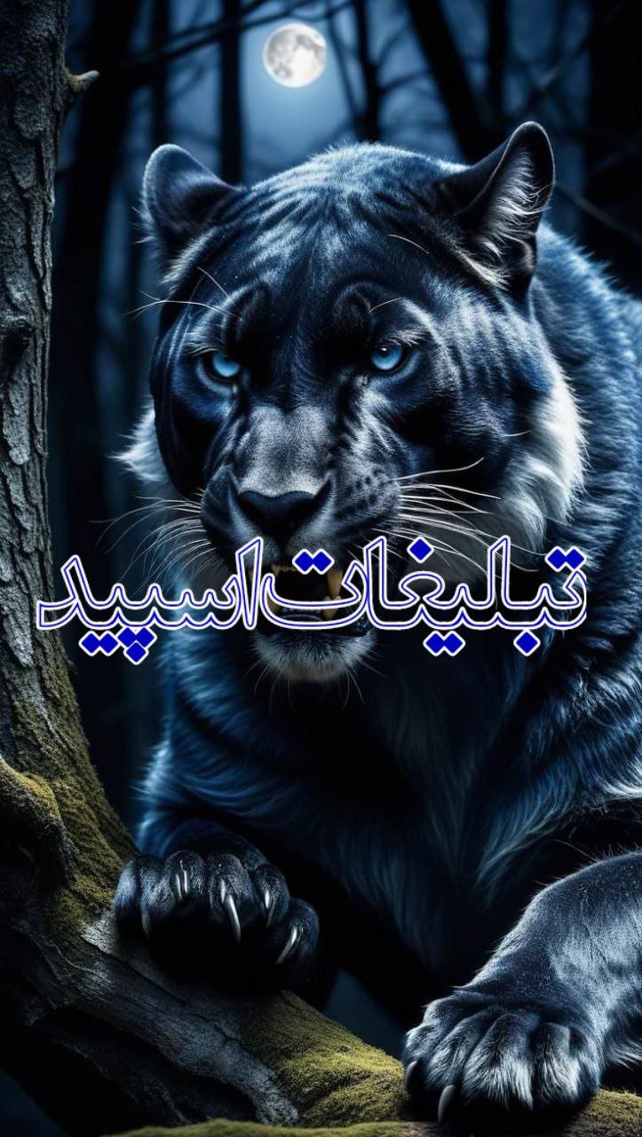 ❤️ࡅ߳ـــܝ‌ࡅ߭ـــܩܢ ܫـــܢܚ݅ــܧ❤️ (1)