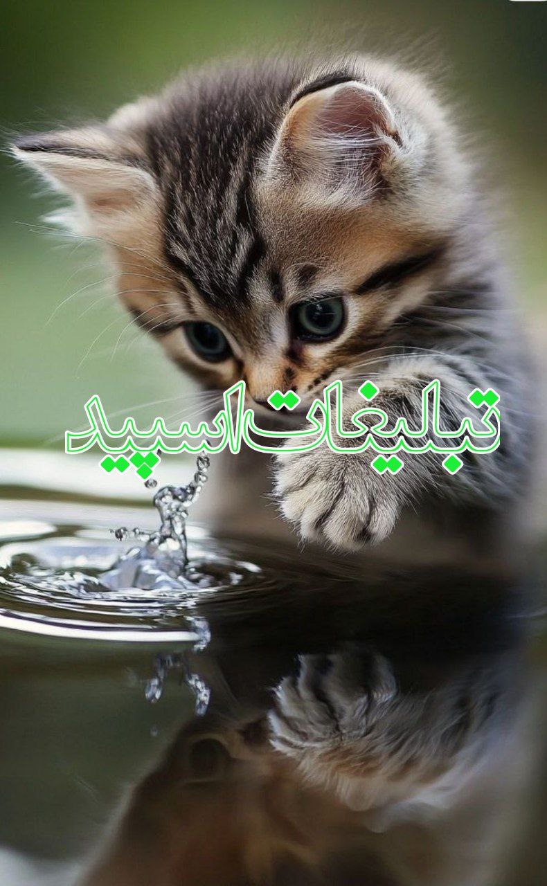 ❤️ ℕᎯᏰℤ℮ ℮ℋᏕᎯᏕ❤️