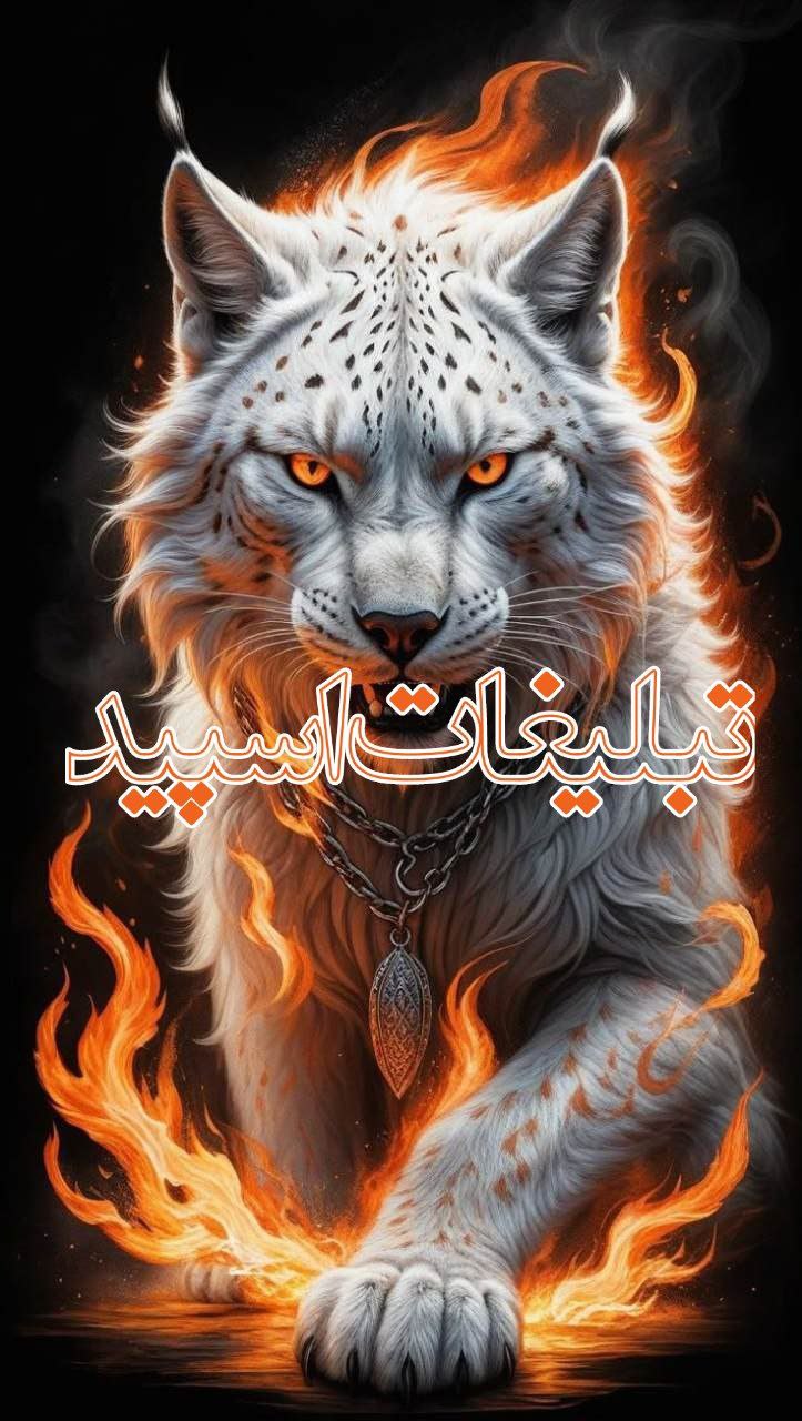 𖢟 𝑺𝒉𝒂𝒃𝒉𝒂𝒚𝒆 𝑻𝒆𝒉𝒓𝒐𝒏 ¹³⁰⁴ (2)