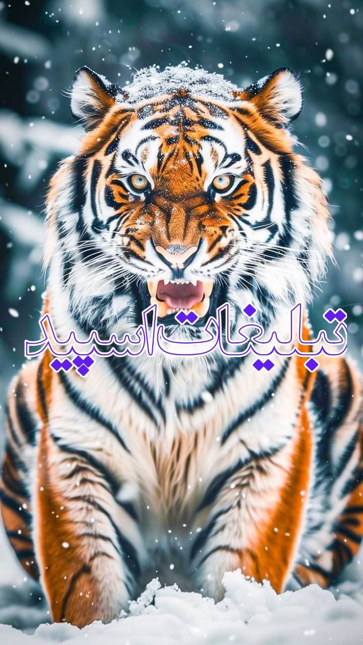 کلبه لاکچری کرمانشاه 😎