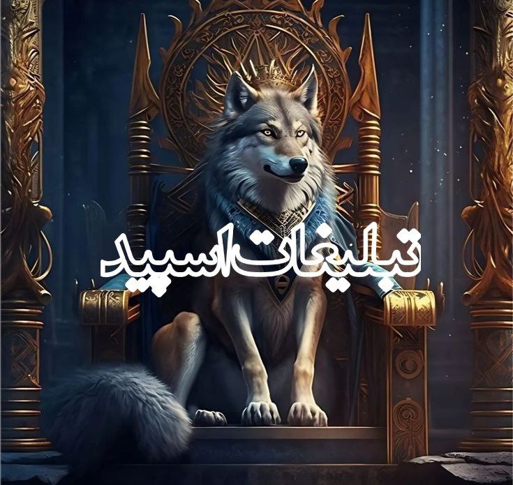 بهترینها ❤️❤️ (1)