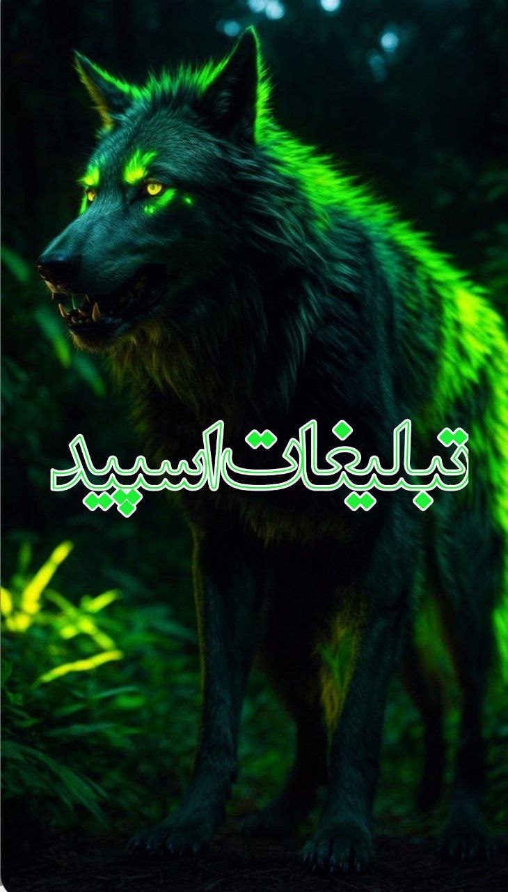 وایلد ولف (30)