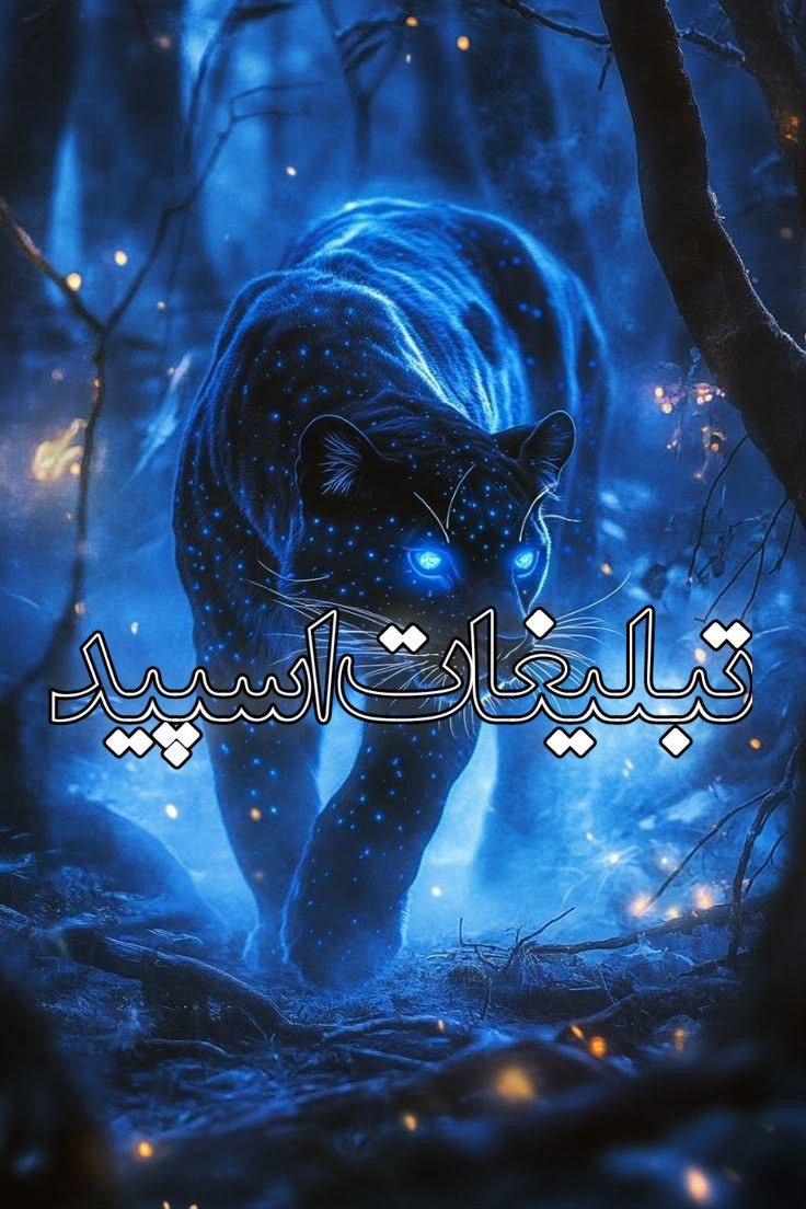 تهران کرج (2)