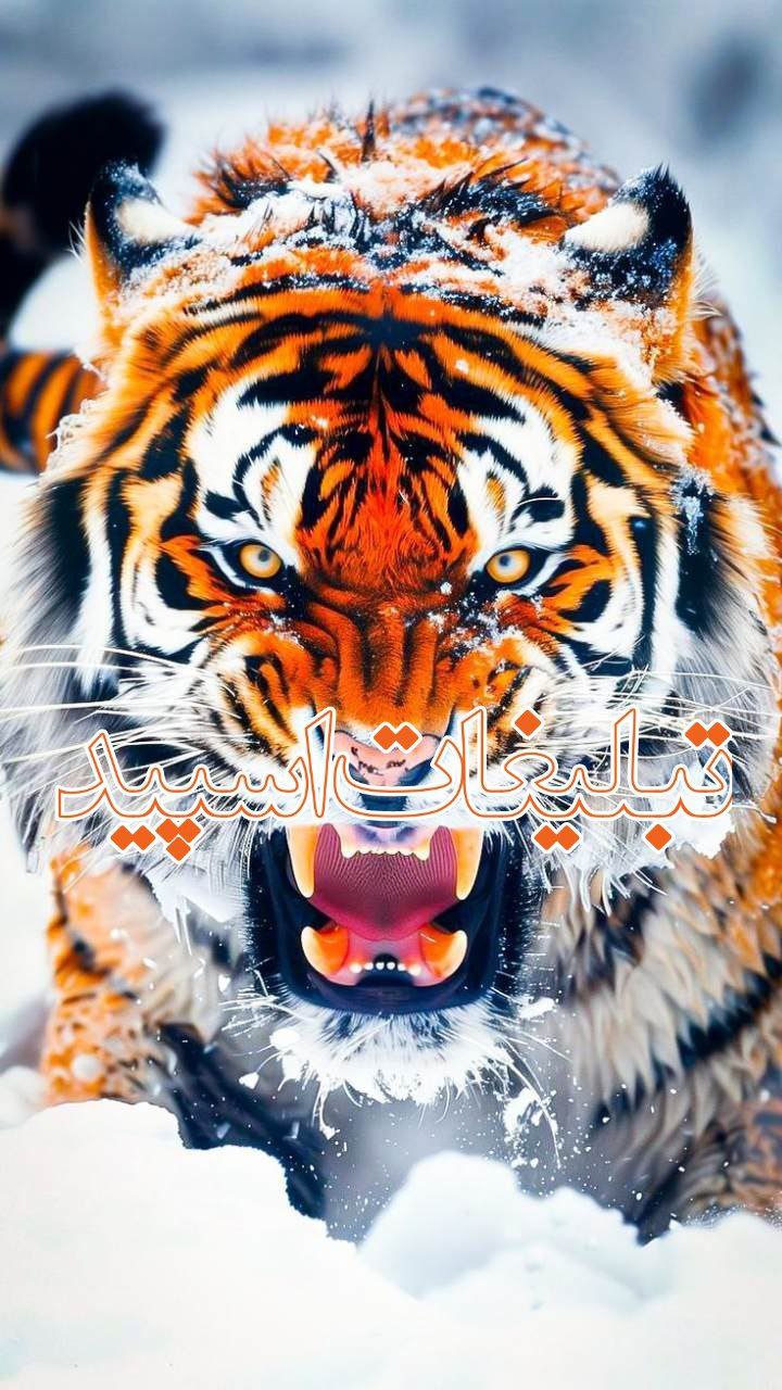 𓆩°⍣⃝𝑵𝑰𝑲𝑶𝑻𝑰𝑵⁰⁵¹❍𓆪