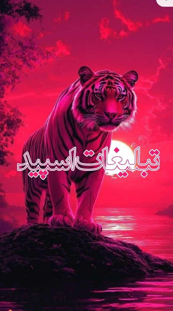 وایلدولف (7)