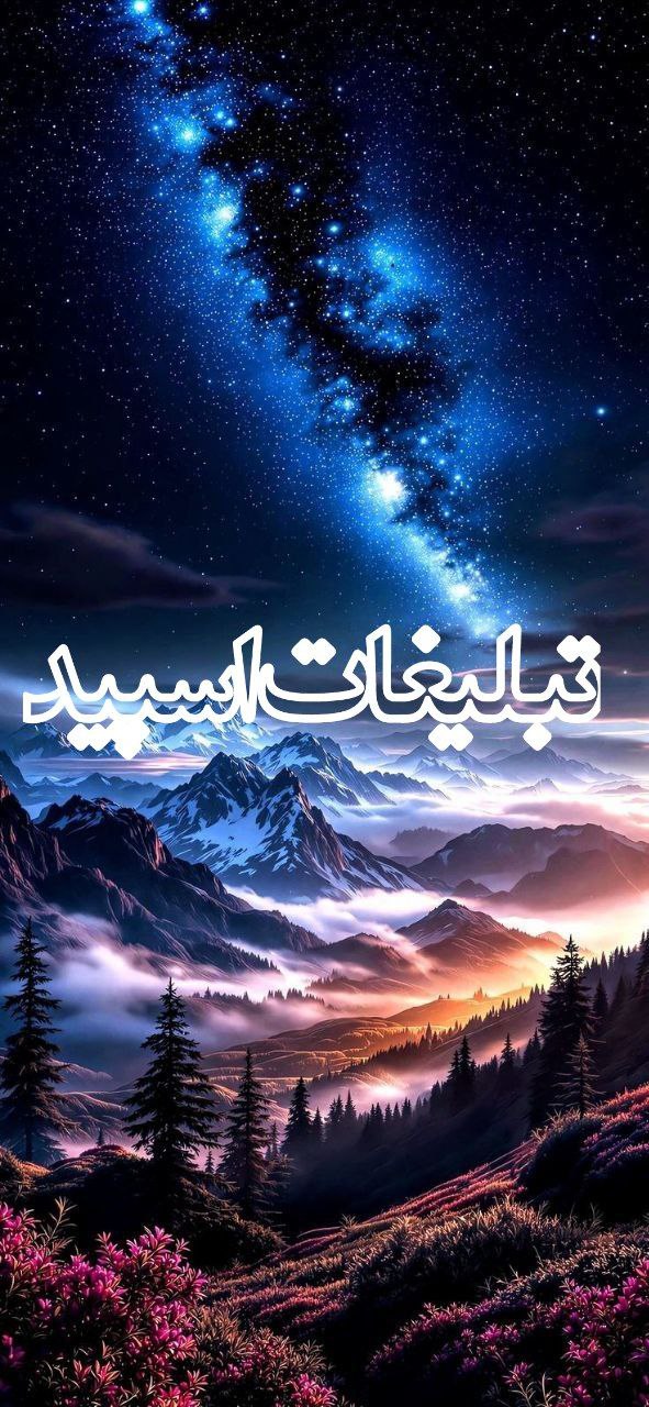 اسپیدسیتی