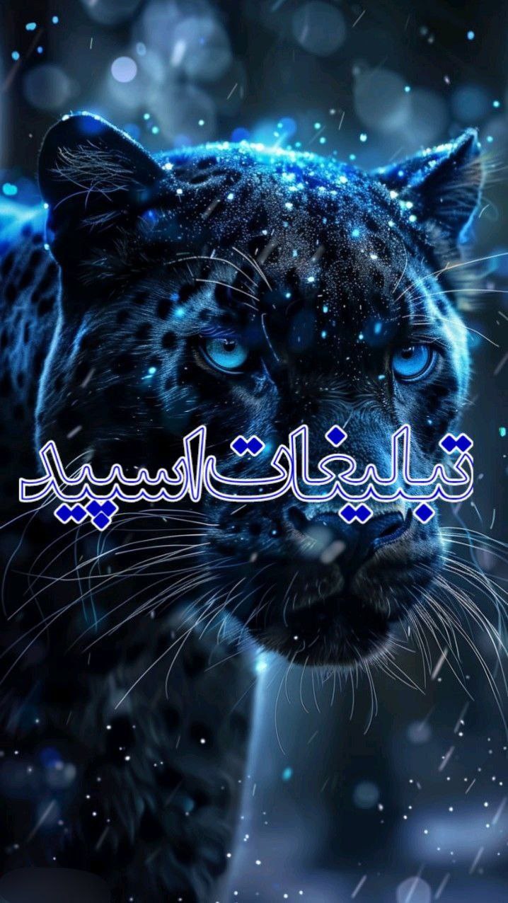 تبلیغات