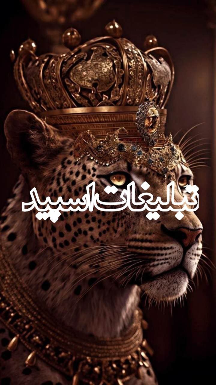 ❦𝑳𝑶𝑽𝑬 ̅̅ل̅̅ـ̅̅ـ̅̅ـاول̅̅ـ̅̅ـ̅̅ـ̅̅ن̅̅ـ̅̅ـ̅̅ـد𝑳𝑨𝑵𝑫❦ (7)