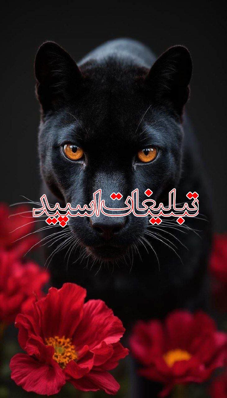 ⸼▹🔥⸼⚜️دوسـتـان مـانـدگـار⚜️››▽͟͞𖠇▴ (3)