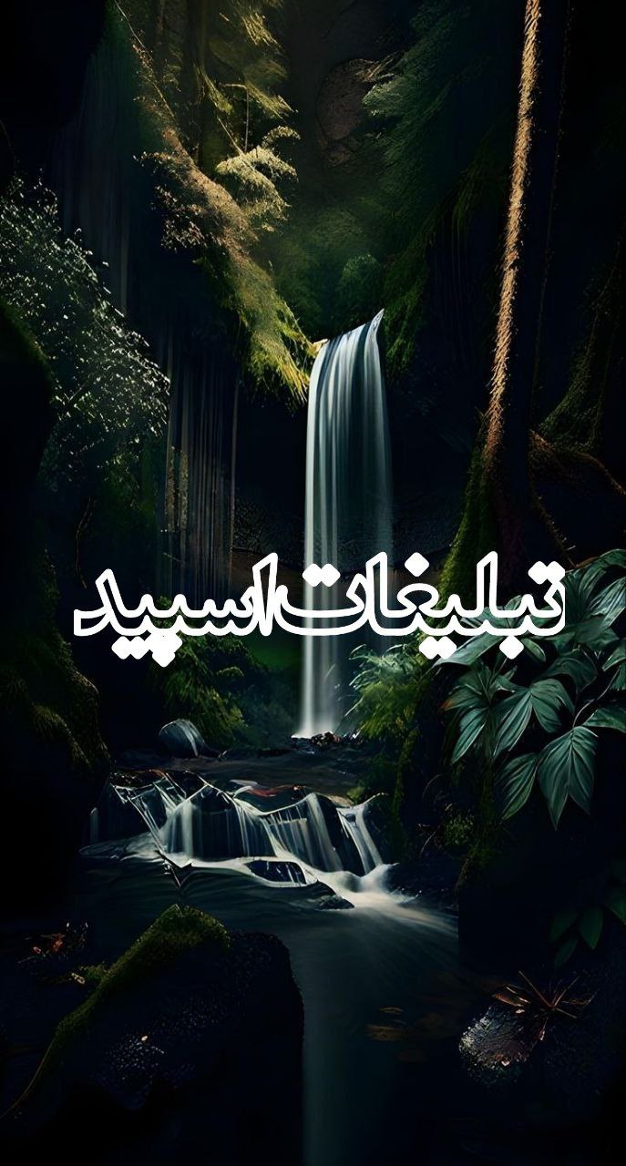 دورهمی شب‌های گیلان 🌙✨