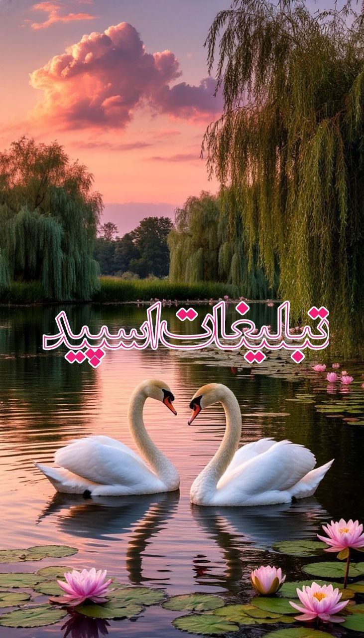 الماس های نایاب✨