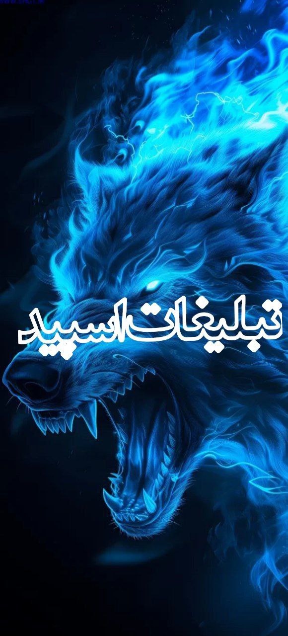 رفقای با مرام (2)