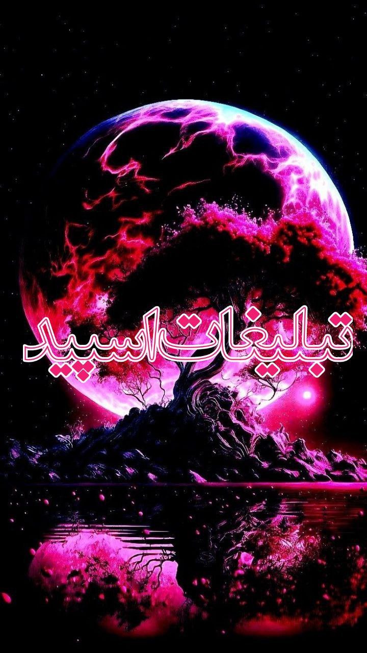 وایلد ولف (258)