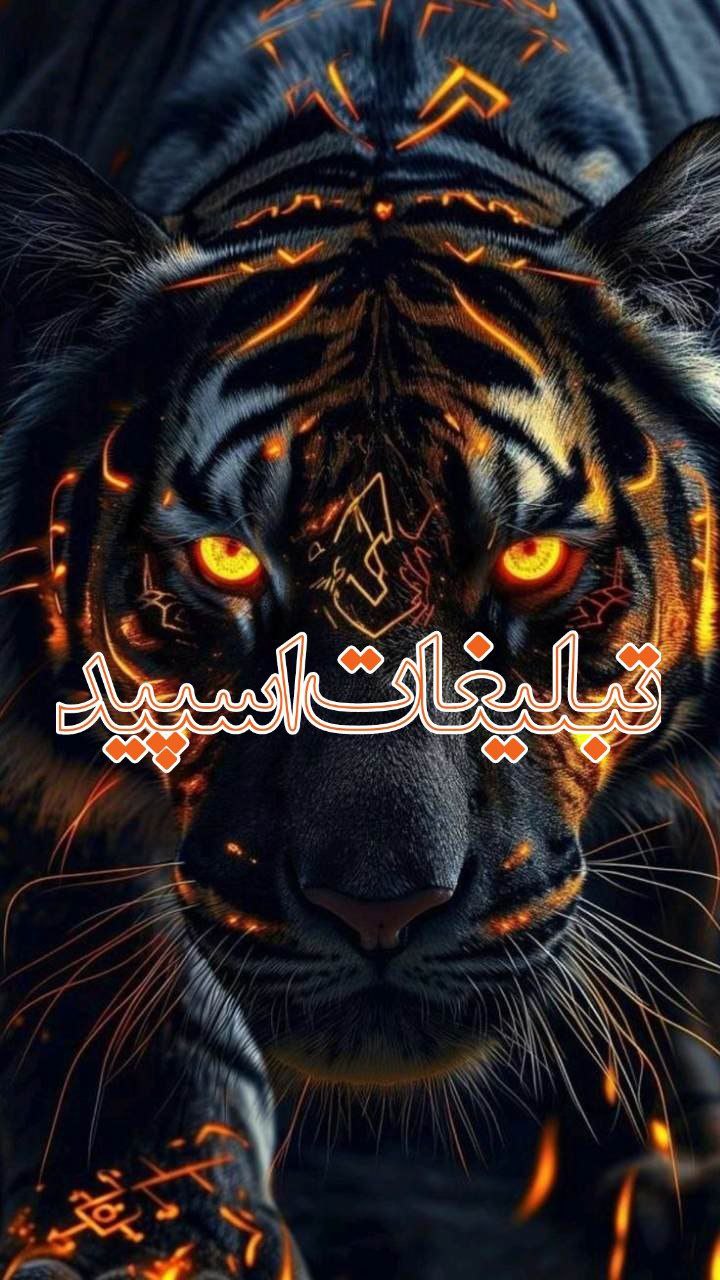 𝙆𝙊𝙇𝘽𝙀𝙃 𝙊𝙎𝙃𝘼𝙂𝙃 🩵 (2)