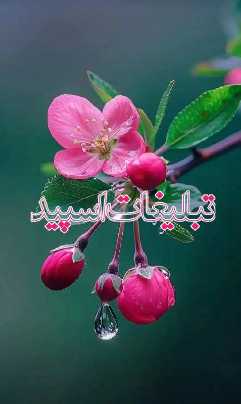 گروه دختر پسرای استان فارس