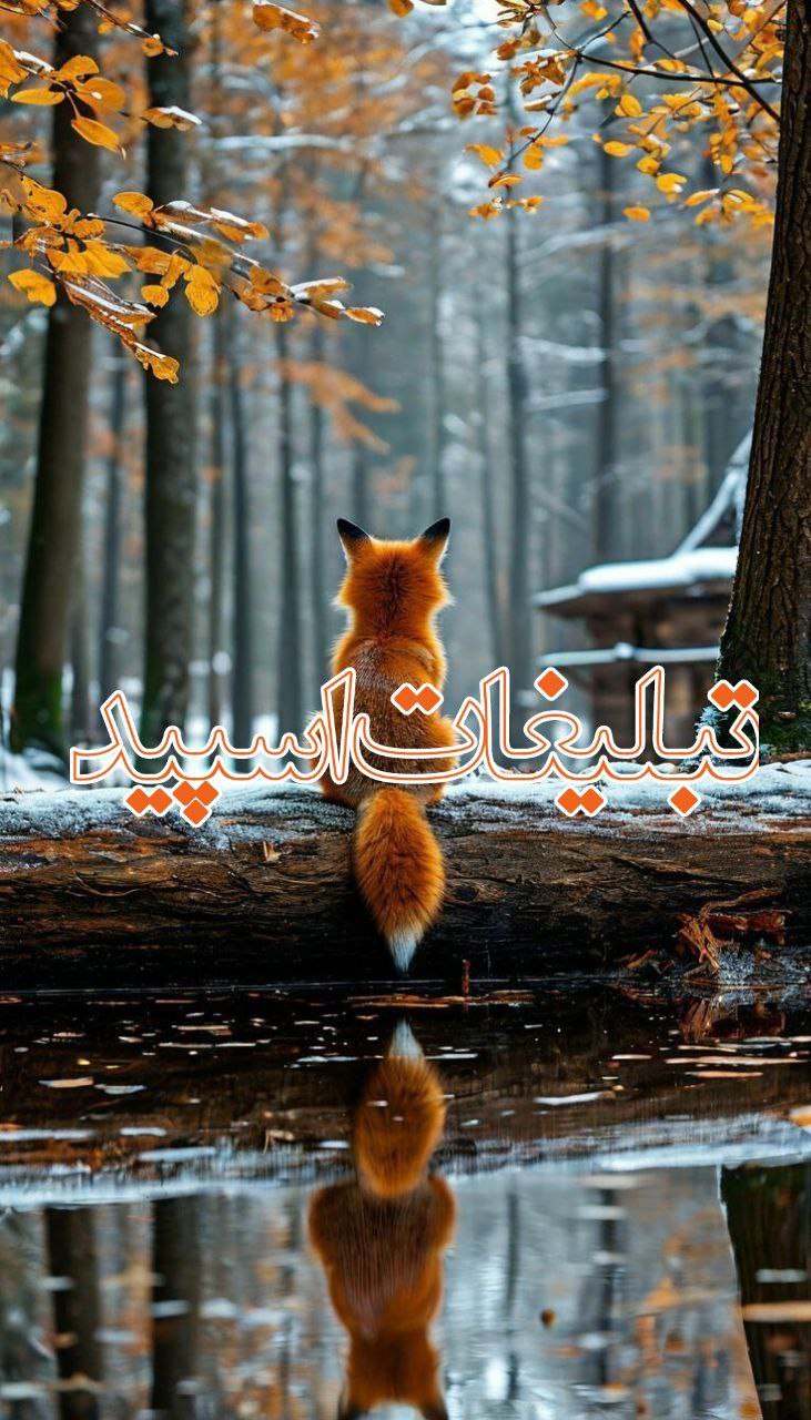 ››▽͟͞𖠇▴⸼G̸A̸P̸ V̸A̸F̸A̸D̸A̸R̸A̸N̸▹🔥⸼₍𝐽𝑎𝑁₎ ͛▴⸼