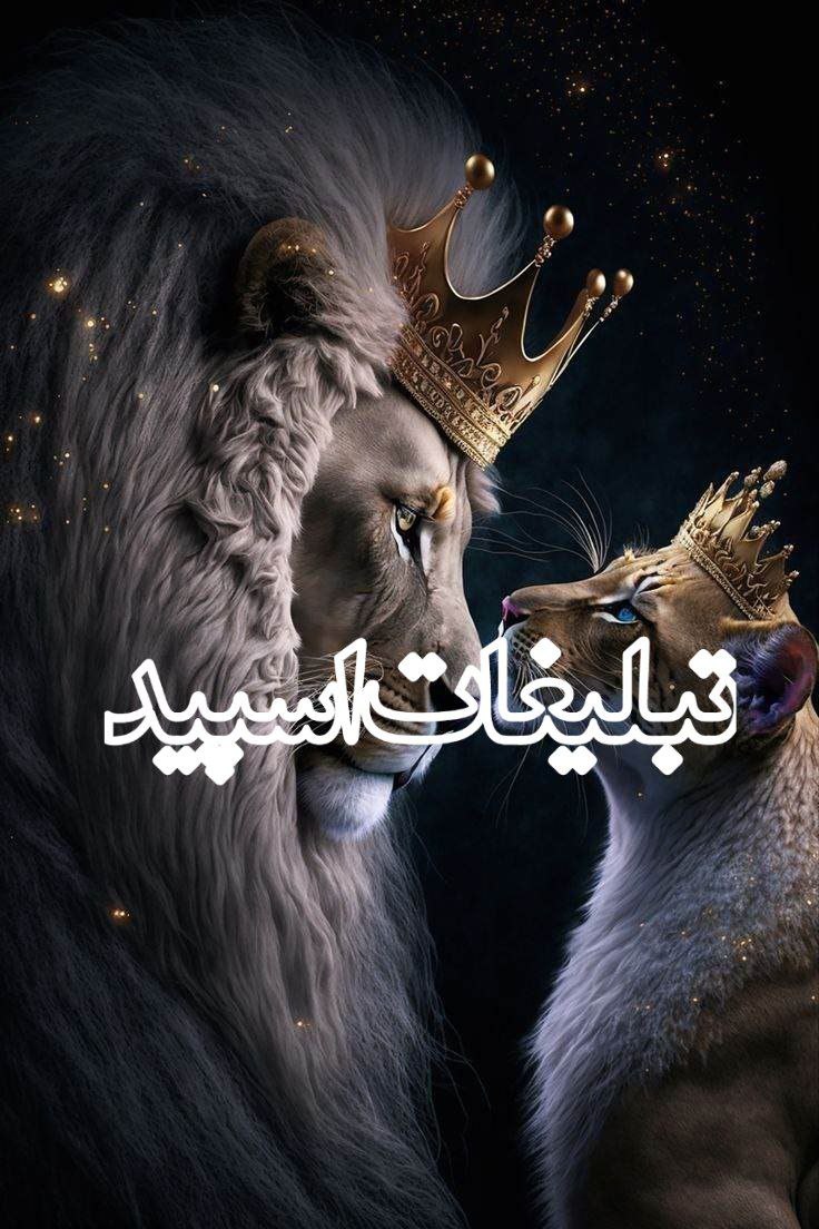 ⎯꯭᪵̽𝆺꯭𝅥𝐖𝐈𝐋𝐃𓆩᪵🜲꯭𓆪̥𝐖𝐎𝐋𝐅⎯꯭꥓᪵ͯ⟶ (186)