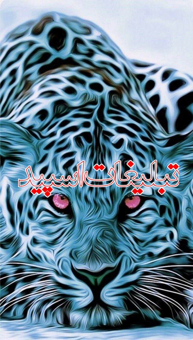 وایلد ولف|WILD WOLF (75)