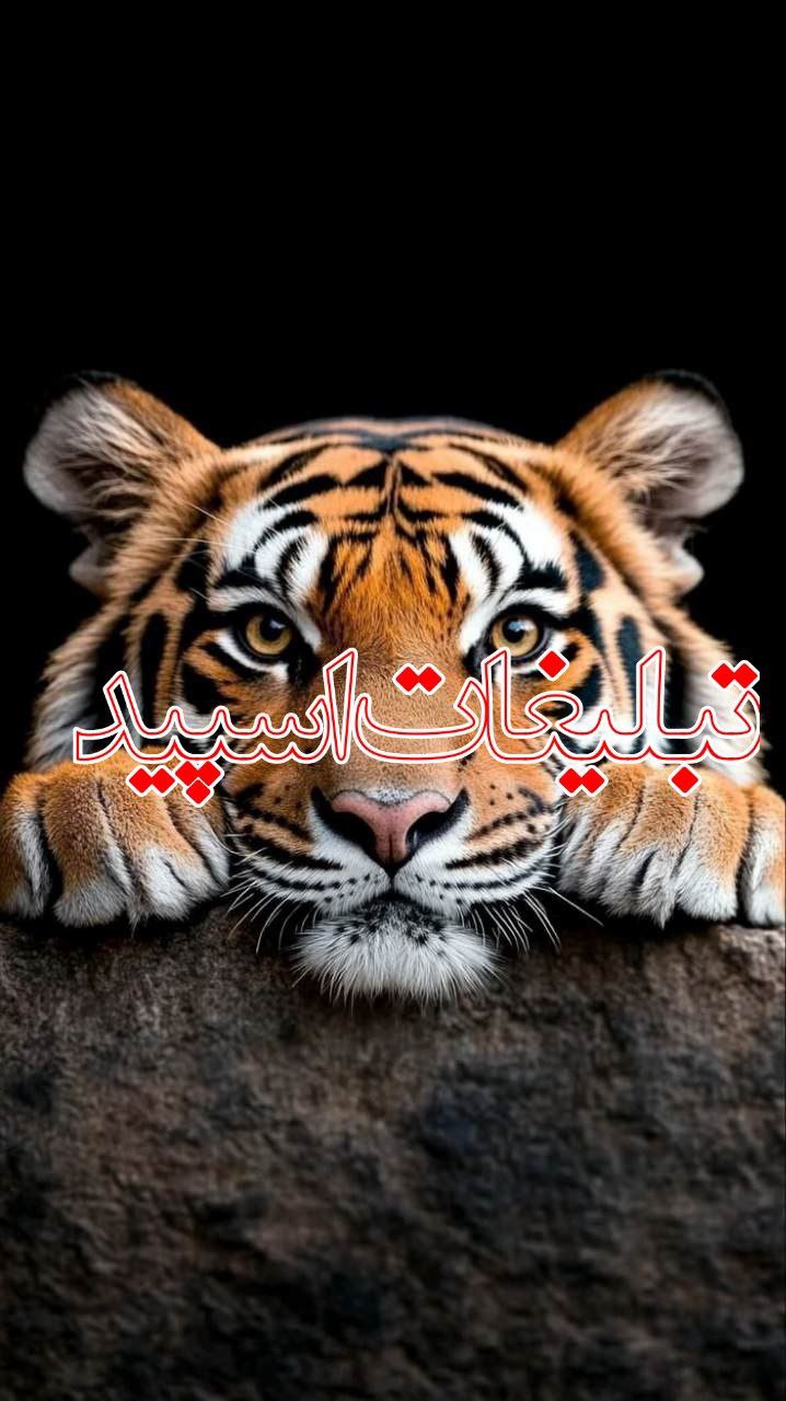 جذب نیروی کار