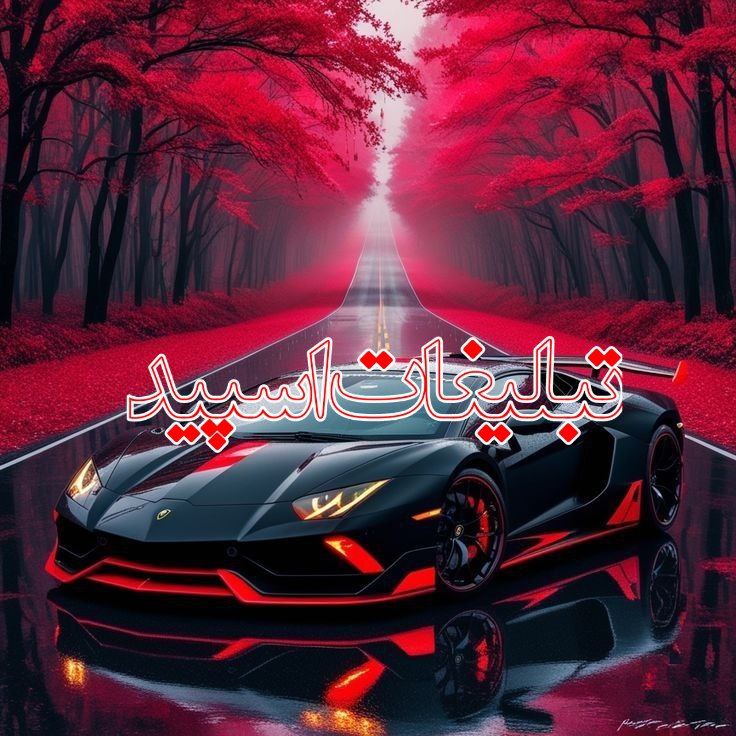 وایلد ولف (45)