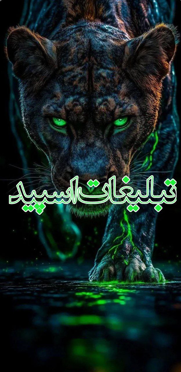 وایلد ولف (366)