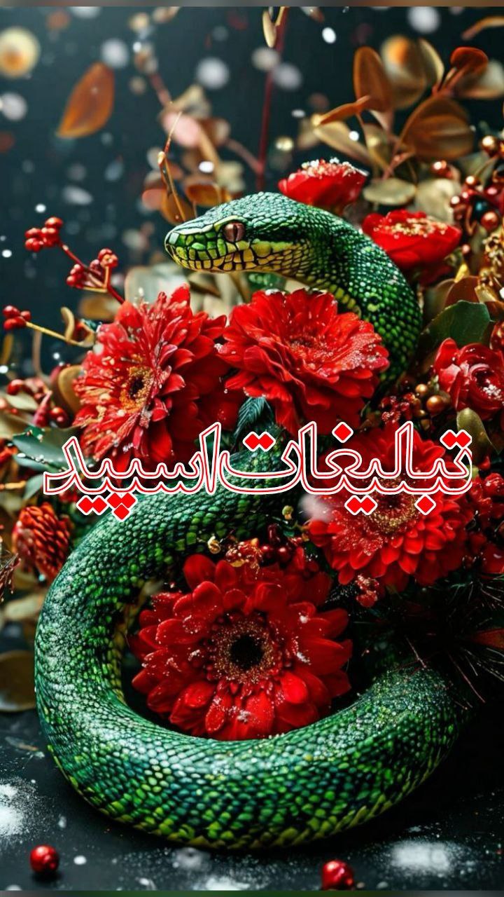 تبلیغات
