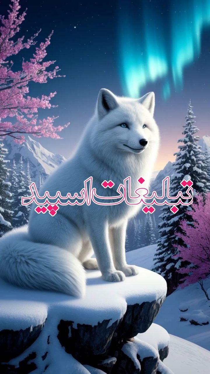 تبلیغات