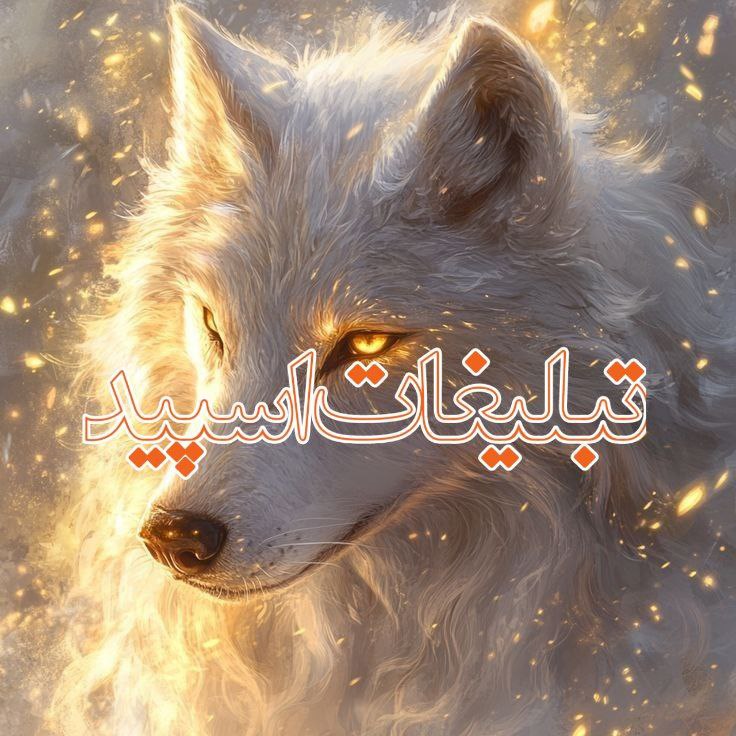 warrior (5)